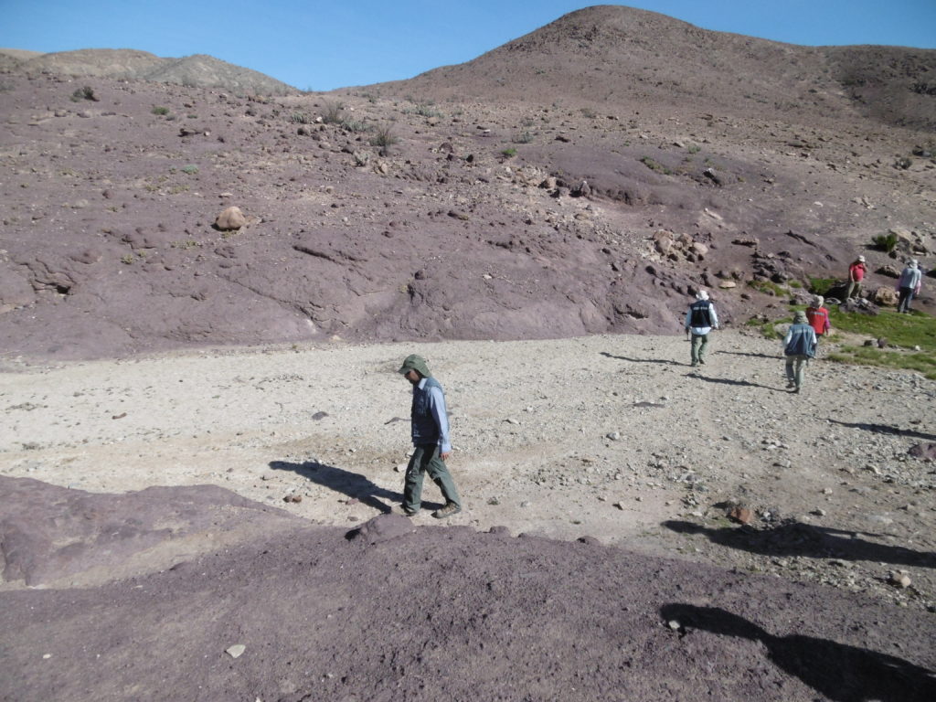 Abenteuer Atacamawüste 