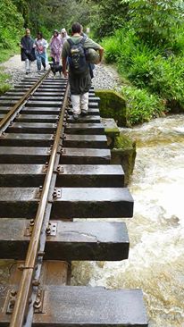 Machu Pichhu kann auch von Hidroelectrica oder Ollantaytambo aus zu Fuß über die Bahnschienen erreicht werden. 