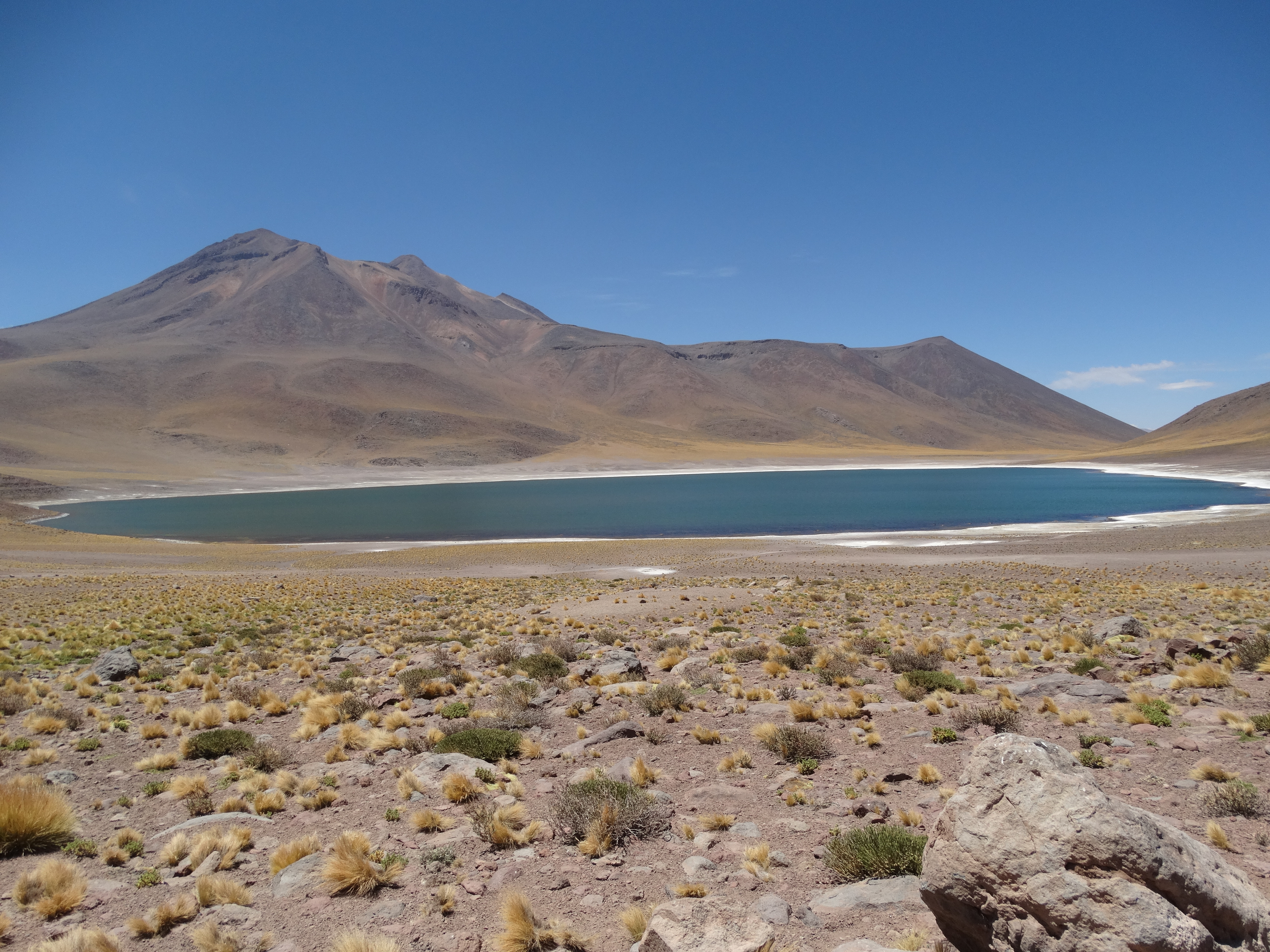 Laguna Miscanti, Chile - Adventureluap