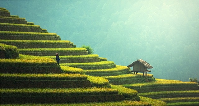 Thailand Japanische Enzephalitis